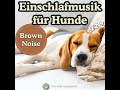 schlafmusik für hunde mit braune rauschen – leise gehen die lichter aus brown noise