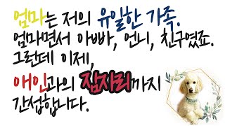 (🖤실화사연) 세상에 유일한 가족 엄마, 하지만 제 남친과의 잠자리까지 간섭합니다. 저는 어쩌면 좋을까요?