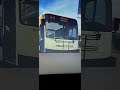 halifax transit roblox route 64 highfield terminal with new xd40 bus