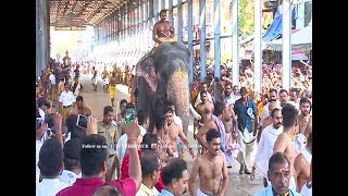 ഗുരുവായൂര്‍ ക്ഷേത്രോത്സവത്തിന് കൊടിയേറി | TCV Guruvayur