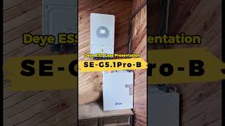 SE-G5.1Pro-B Case Presentation #deye#deyebattery #deyeinverter