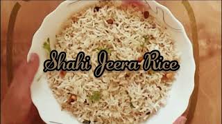 Shahi Jeera Rice | Zeera Rice Recipe | शाही जीरा राइस रेसिपी | how to make Jeera Rice |