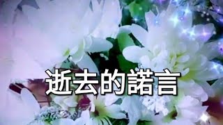 逝去的諾言 - 生生世世的誠諾，無奈.......