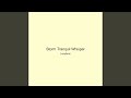 Storm Tranquil Whisper