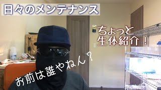 #3 日々のメンテナンス\u0026生体紹介　ボールパイソン　爬虫類