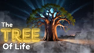 The Tree of Life | The secret of the ancient Baobab Tree