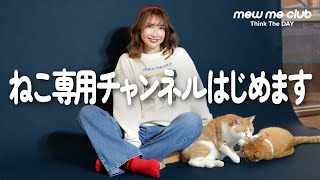 ねこのYouTube始めました！