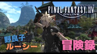 【閲覧注意！ネタバレ含む】FF14アーリーアクセスで暁月のフィナーレをプレイ(≧▽≦)