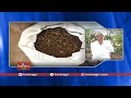 ప్రకృతి వ్యవసాయంలో తెగుళ్ల నివారణ natural farming hmtv agri