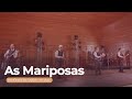 As Mariposa + Volta por Cima - Demônios da Garoa (Ao Vivo no Rio Grande do Sul)