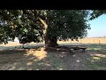 luper pioneer cemetery