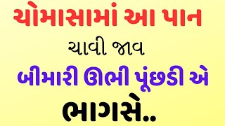 ચોમાસામાં આ પાન ચાવી જવાથી બીમારી રહેશે દૂર | ઋતુજન્ય બીમારી થી બચવા આ પાન રોજ ખાવા જોઈએ |