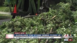 Guidelines for storm debris clean up