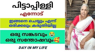 പിട്ടാപ്പിള്ളിക്കാര് ഇങ്ങനെ ചെയ്യും എന്ന് ഞാൻ സ്വപ്നത്തിൽ പോലും വിചാരിച്ചില്ല|Day in my life