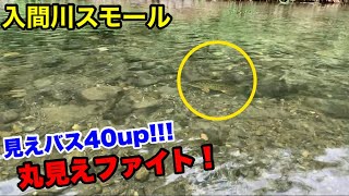 【入間川バス釣り】丸見えファイト！！  40upの見えバス発見！