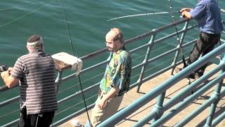 Skippy At The Pier...With Shay Carl