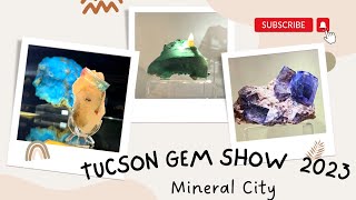 美國🇺🇸圖桑礦物展2023｜Mineral City