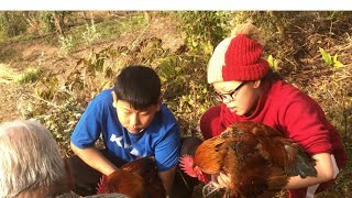 Local kukhurako vale le Koshi puja (khaling Rai)    🐓🐓🐓🐓kan6i 6ory 6ora