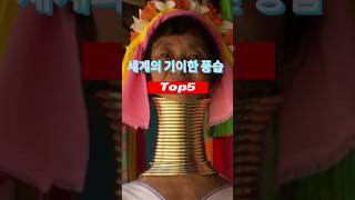 세계의 기이한 풍습 Top5 #순위 #top10 #꿀잼