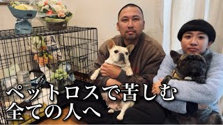 愛犬を亡くした地獄のペットロスの様子がこちらです