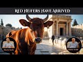 Walter Veith & Martin Smith - Red Heifers Have Arrived, Antichrist In Temple In Israel 2024