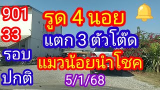 รูด 4 นอย_901 33_แตก 3 ตัวโต๊ด_รอบปกติ_แมวน้อยนำโชค_5/1/68_@มาดามคํานวณChanel