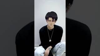 If Levi Ackerman was in real life!