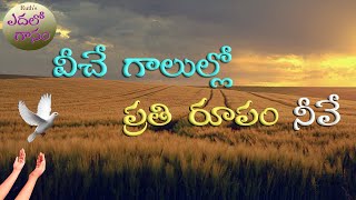 వీచే గాలుల్లో ప్రతి రూపం నీవే - Veeche Galullo Prati Roopam Neeve - Christian Songs