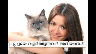 പൂച്ചയെ വളര്‍ത്തുന്നവര്‍ അറിയാന്‍ ! #eco own#Cat caring tips (Pet care/Cat Videos)