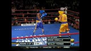 Brian Ceballo 2012 Daily News Golden Gloves