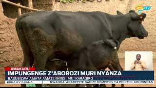 Nyanza: Aborozi barinubira gusubizwa amata nyuma y'iminsi ageze mu ikaragiro