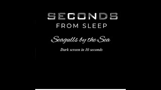 Deep sleep l Seagulls by the sea l sounds for sleeping and relaxation