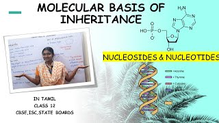 Molecular Basis Of Inheritance| Nucleosides & Nucleotides| In Tamil| The DNA| Nucleic Acids|