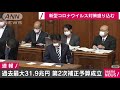 コロナ対策の第2次補正予算成立　総額31兆9000億円 20 06 12