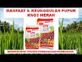 MANFAAT DAN KEGUNAAN PUPUK KNO3 MERAH | REVIEW PUPUK KNO3 MERAH SAPROTAN UTAMA | PEMACU BUNGA & BUAH