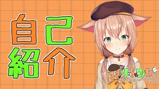 【自己紹介】はじめまして！堀ふみかです【新人Vtuber】