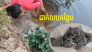 ដាក់លបកង្កែប, វិធីដាក់កង្កែប | Fishing the frogs