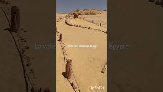 La vallée des baleines Égypte (40-20 millions d’années وادي الحيتان بصحراء الفيوم (٤٠-٢٠ مليون سنة)