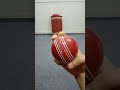 beautiful seam position cricket ball