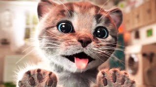 Little Kitten Preschool Adventure Educational Games -Play Fun Cute Kitten Pet Care Learning Gameplay