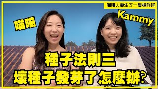 種子法則第三集-四力量/如何運用四力量削減壞種子/喵喵\u0026Kammy