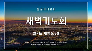 [새벽기도회 25.2.13] 눅 2:41-52 김대환 목사 @잠실새내교회