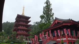 雨の高幡不動尊に紫陽花を訪ねて