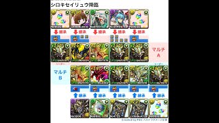 [パズドラ]歴世の杯と神創の雫イベント_シロキセイリュウ降臨_正月ノルディスパ_2人マルチ周回編成[パズル\u0026ドラゴンズ]