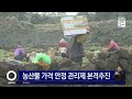 제주도 농산물 가격안정 관리제 본격 추진 sbs