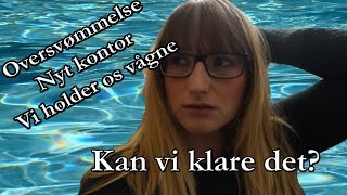 Vlog - Oversvømmelse?, nyt kontor?!, vi holder os vågne..