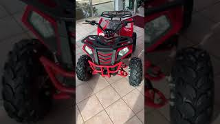 Apollo Commander 125 Kids ATVs - Q9 PowerSports USA