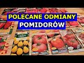 Polecane Odmiany Pomidorów. Pomidory koktajlowe i wielkoowocowe Najlepsze Odmiany według mnie Uprawa