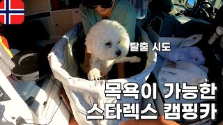 🇳🇴 캠핑카에서 목욕하는 강아지 모래만 보면 미치는 강아지 세나견 설채연쌤 만나고싶다.. (with 유튜버 하퍼루트) 강아지 유럽 여행 유라시아 횡단 내차타고 세계여행 [079]