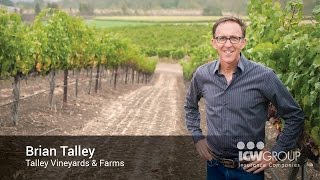 Meet ICW Group Policyholder: Talley Vineyards